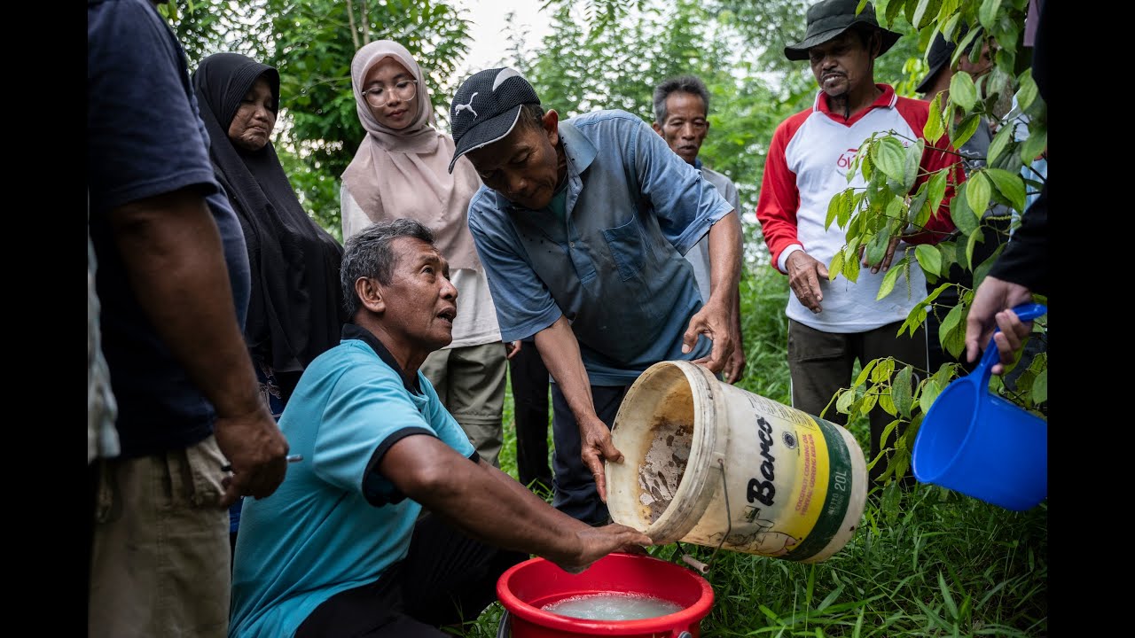 aGROWforests - Nurturing a sustainable future for pepper farmers