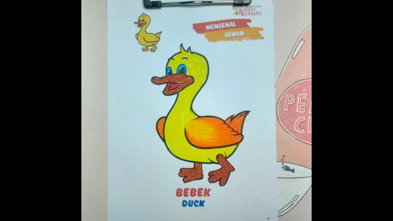 Cara Mewarnai Bebek dengan Gradasi.