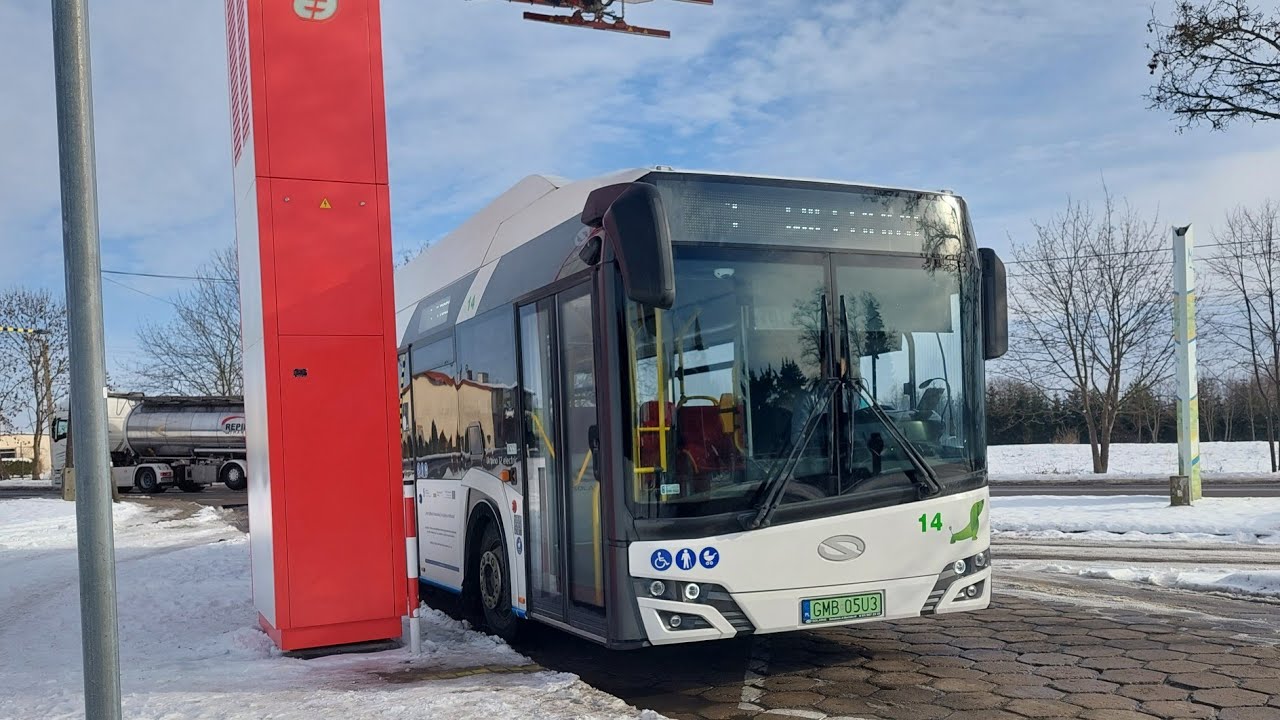 MZK Malbork - Linia: 1 - Kierunek: Wielbark - Solaris Urbino 12 IV FL electric #14
