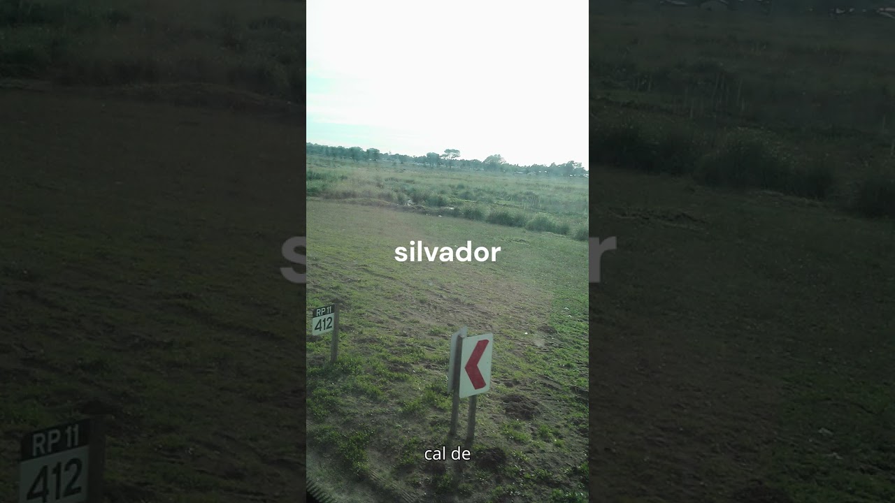 silvador 3