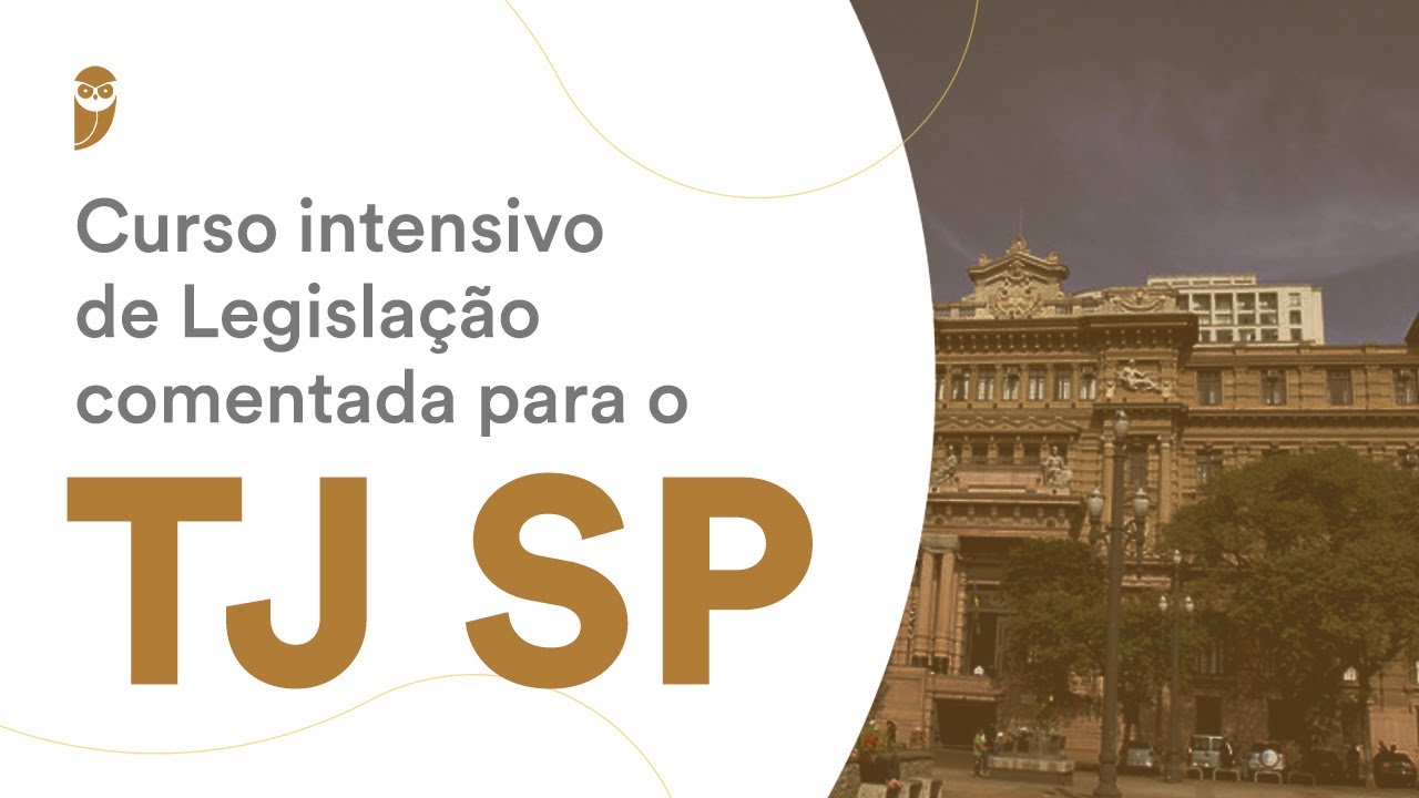 Curso Intensivo de Legisla&ccedil;&atilde;o Comentada para o TJ SP: Direito da Crian&ccedil;a e do Adolescente