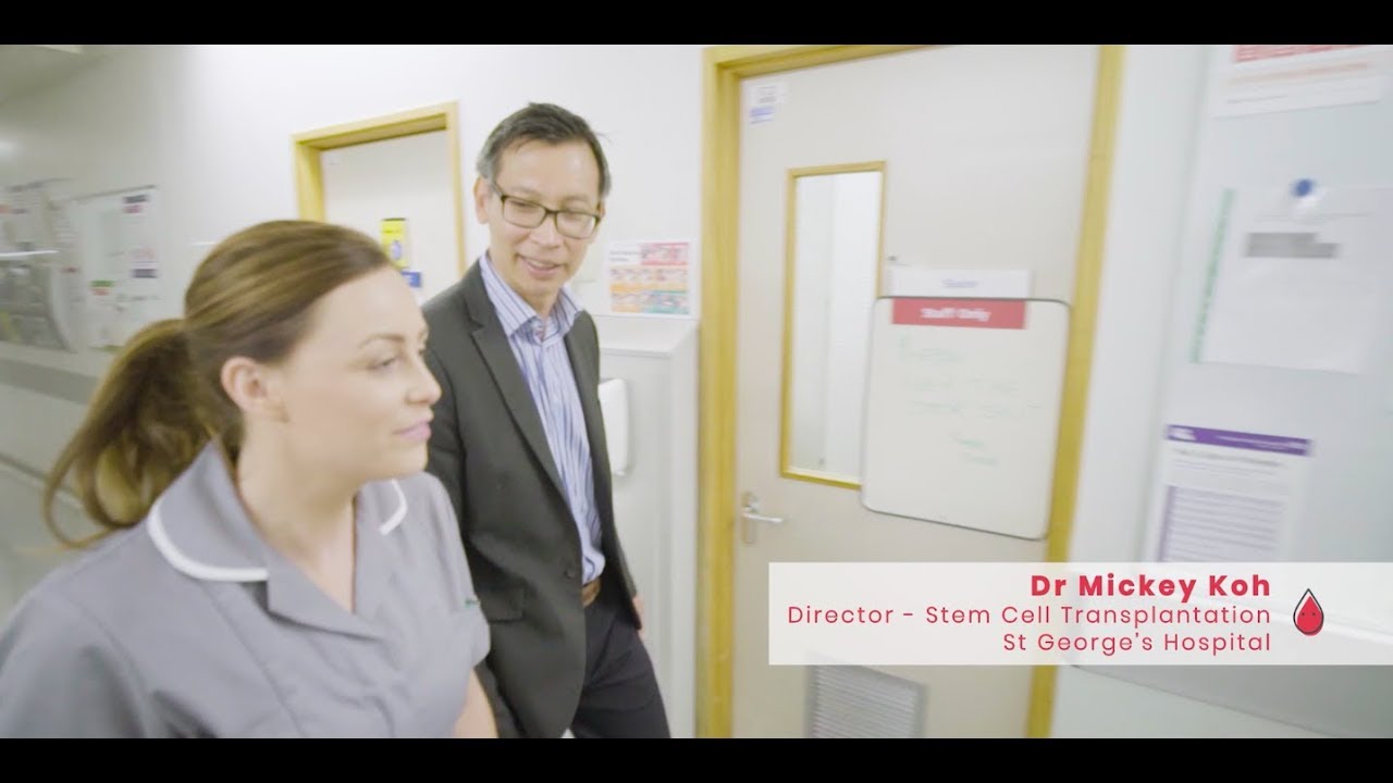 The Aplastic Anaemia Trust - treatment of aplastic anaemia