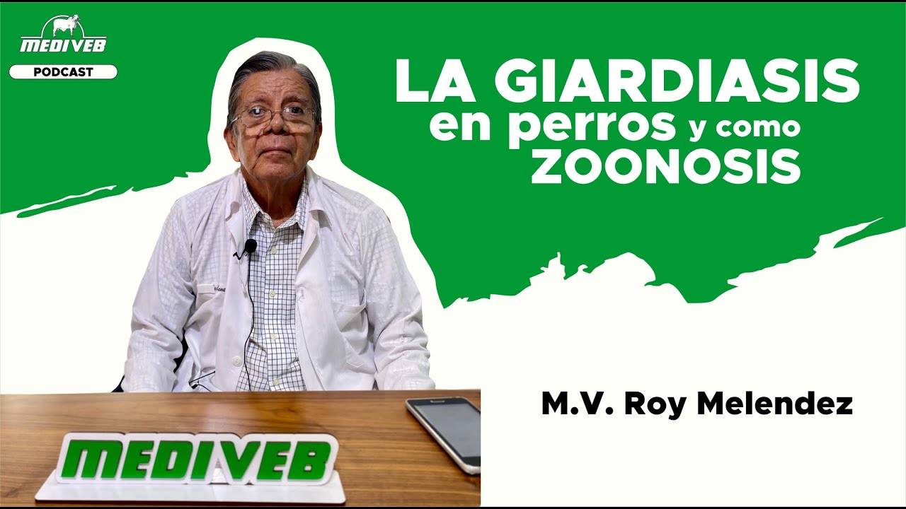 Giardiasis en perros y como zoonosis - M.V. Roy Melendez