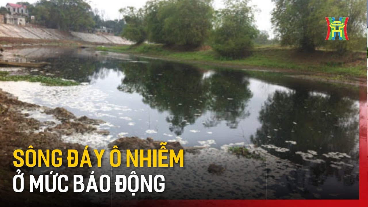 Sông Đáy ô nhiễm trầm trọng | Tin tức