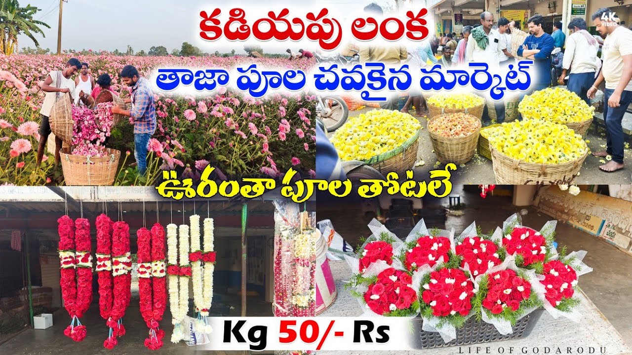 ఈ మార్కెట్ లో పువ్వులు చాలా చౌక..! |  KadiyapuLanka  Flower Market | #Lankavillages #flowers #market