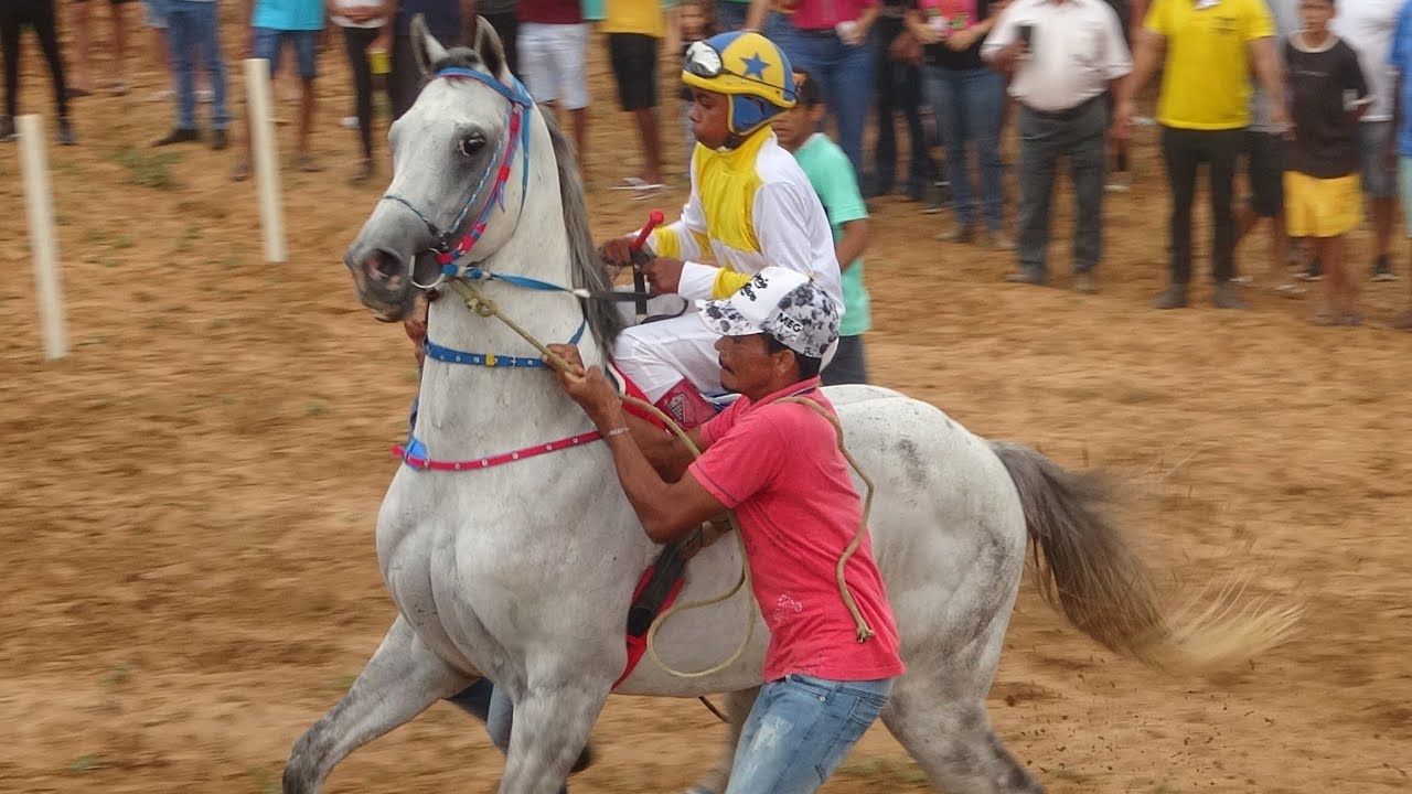 I Corrida de Cavalos na Fazenda Santo Antônio em Ribeira do Piauí 2023 - Páreo especial