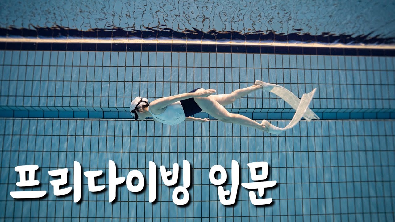 물 공포증➕수영 1도 못함💦 프리다이빙 할 수 있나요? 쫄보의 프리다이빙 수업 첫날😇