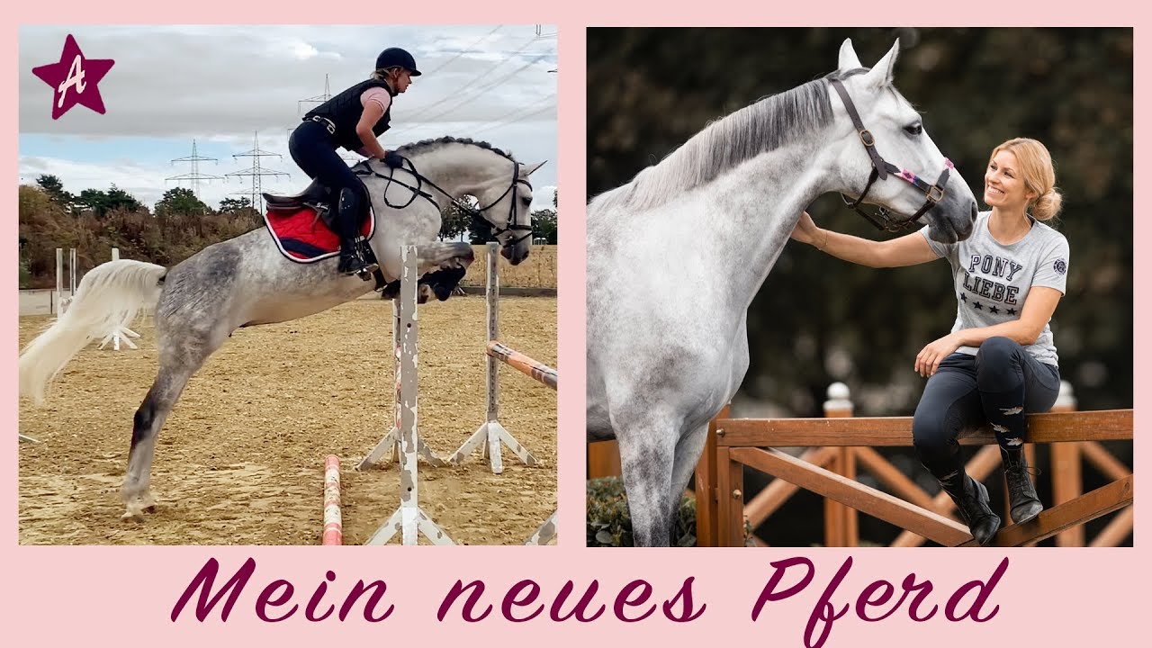 Mein NEUES Pferd I Probereiten und Pferdekauf I Nachwuchs fürs Team Ponyliebe