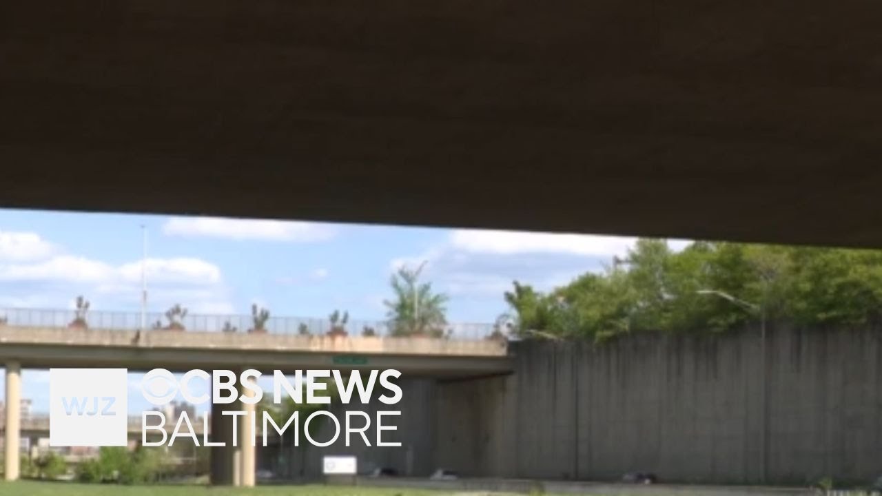 Baltimore Banner: What should be done to Highway to Nowhere?