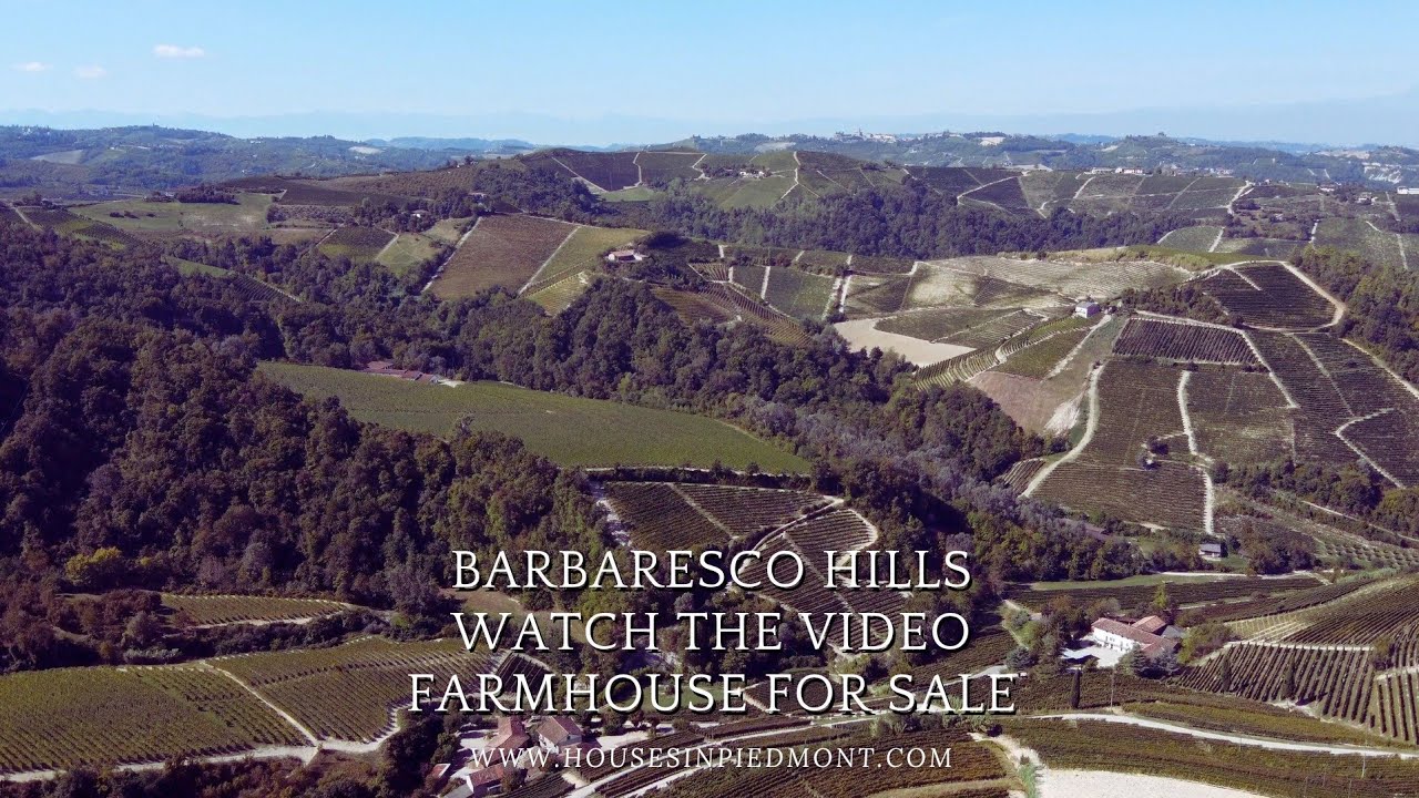 Farmhouse for sale in Barbaresco Hills - Treiso Piedmont - 🏡🌳🍇 #Farmhouse #Sale #Hills #Piedmont