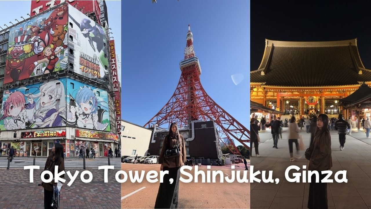 Tokyo, Japan - Tokyo Tower, Shinjuku, Ginza