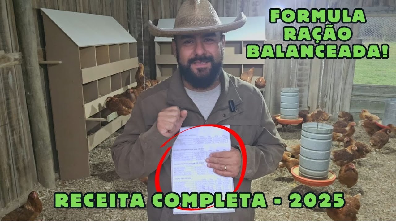 Ração de galinhas poedeiras, Receita completa!