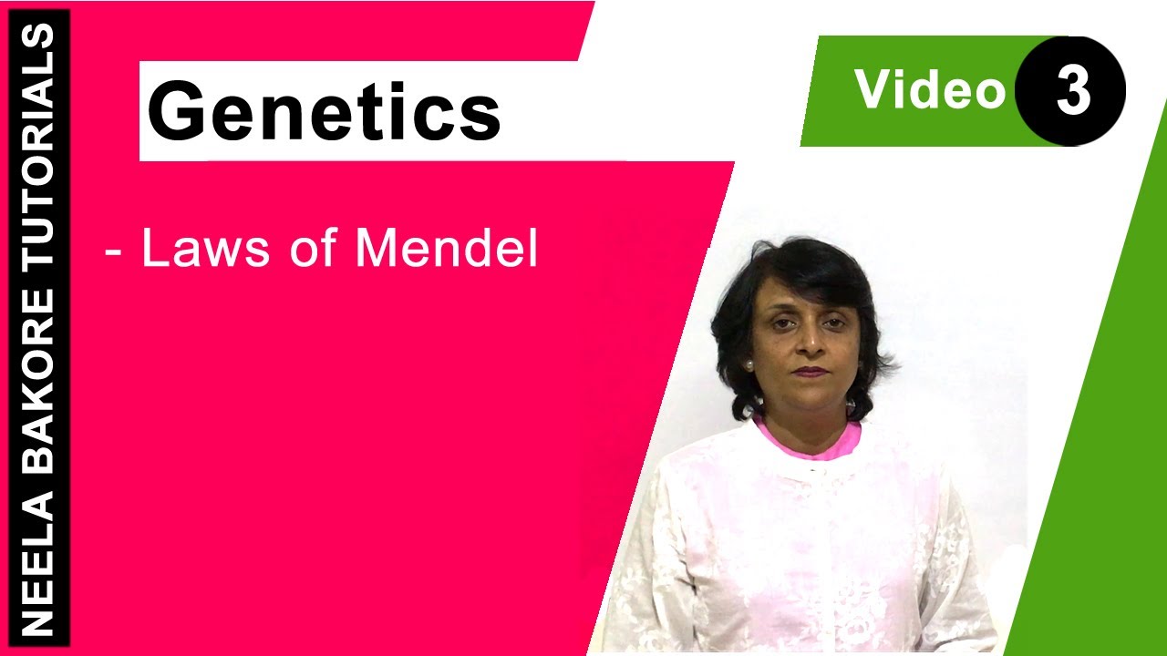 Genetics - Principles of Inheritance & Variations  | NEET | Laws of Mendel | Neela Bakore Tutorials
