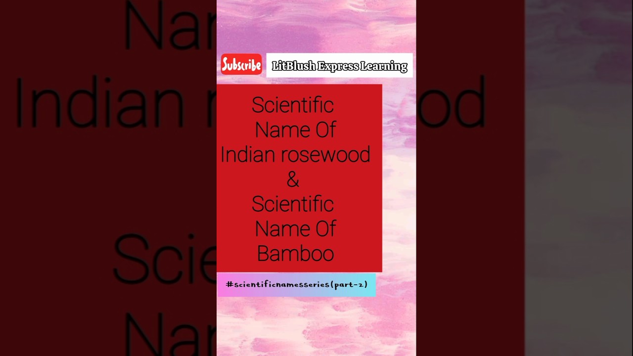 #scientificname of Indian rosewood and ScientificName Of #bamboo  #scientificnamesseries(part-2) #yt