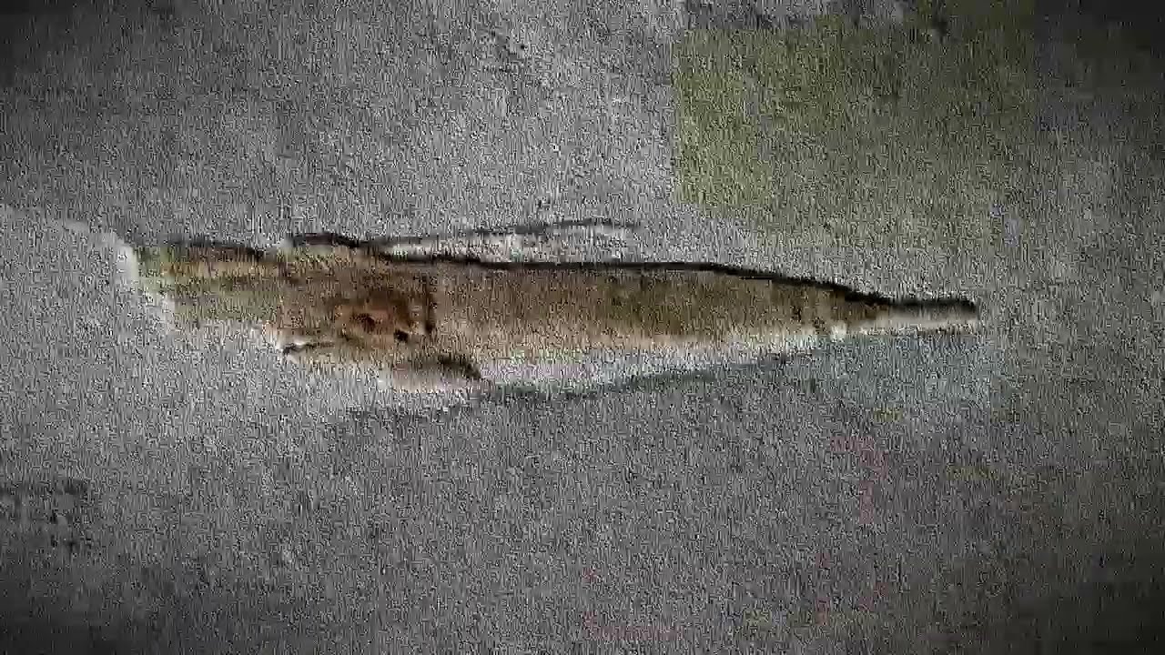 Soot Deposit