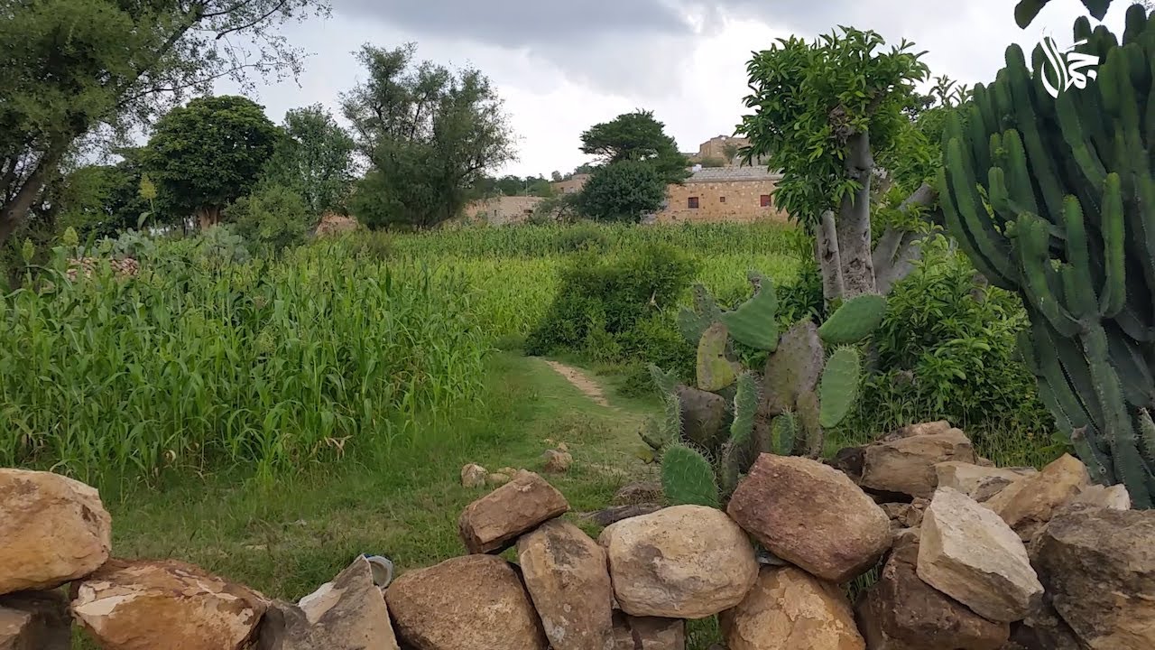 شاهد لأول مرة..خضبان في أغنية (ياخضبان وردك)Watch for the first time,Khadban,in the song(Ya Khadabn)