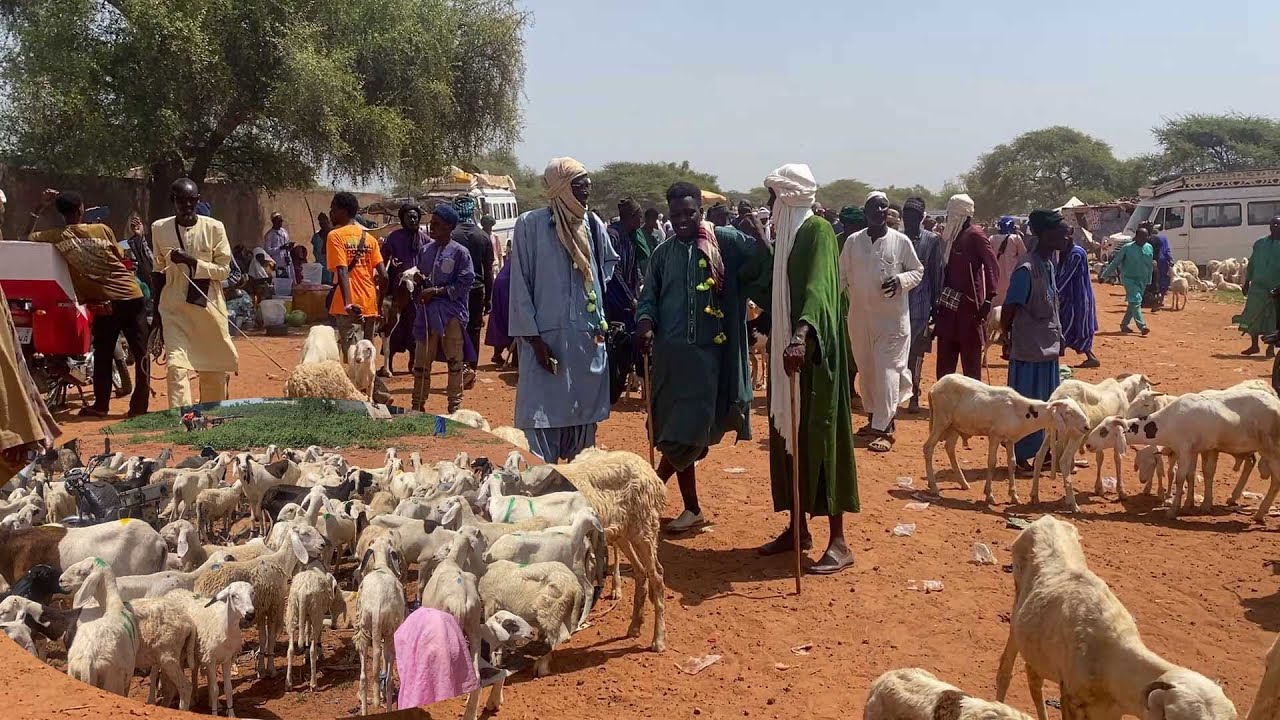 DOKHANTOU LOUMA LINGUERE