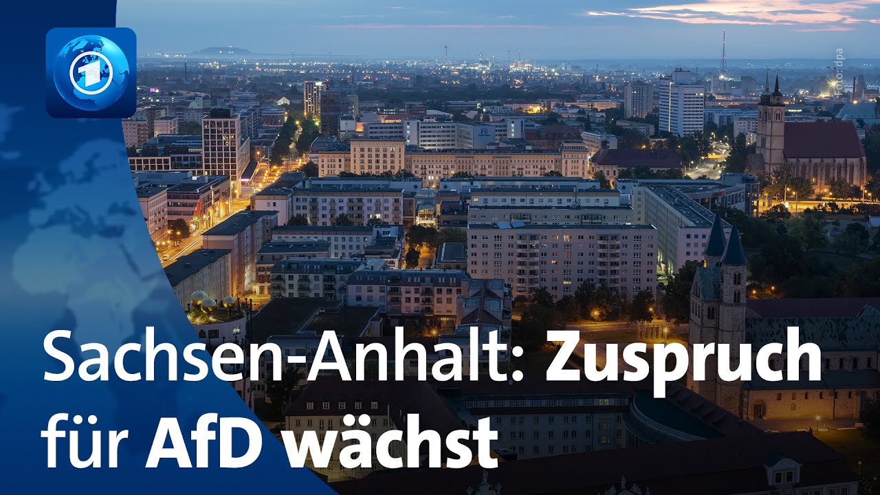 Ein Jahr vor der Landtagswahl: AfD laut Umfragen in Sachsen-Anhalt vorne