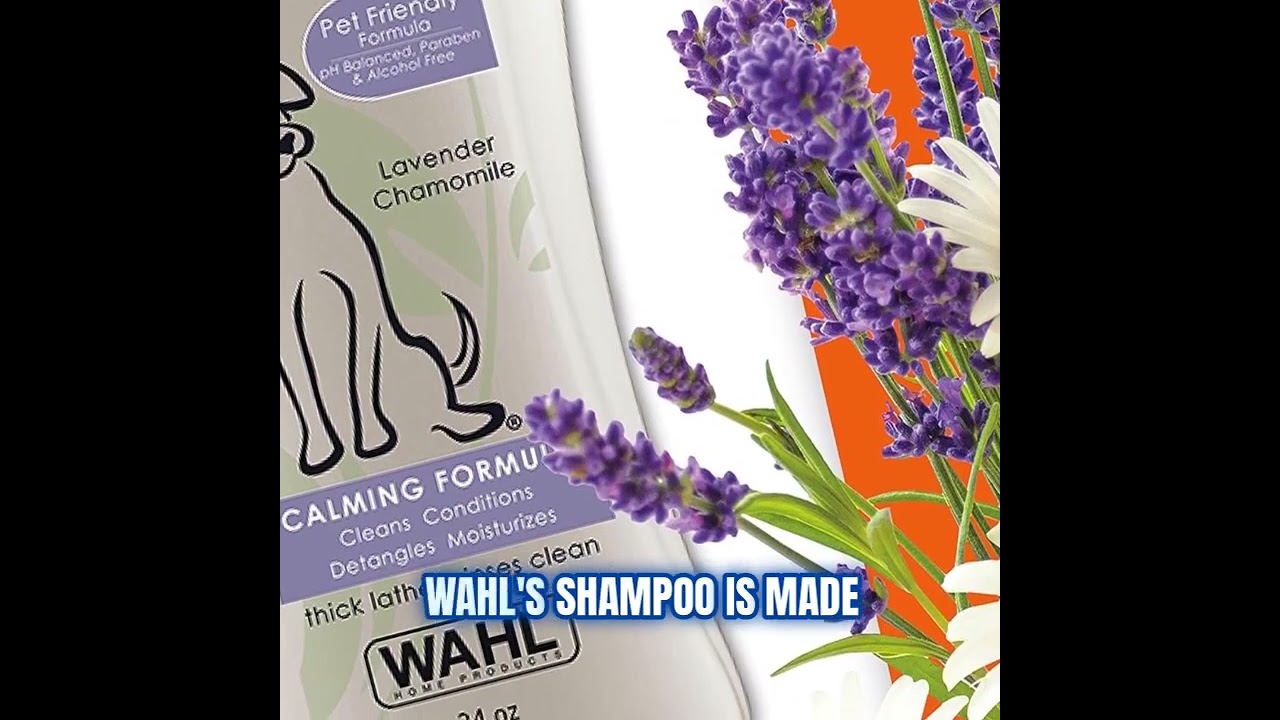 wahl's 4 in 1 calming shampoo review