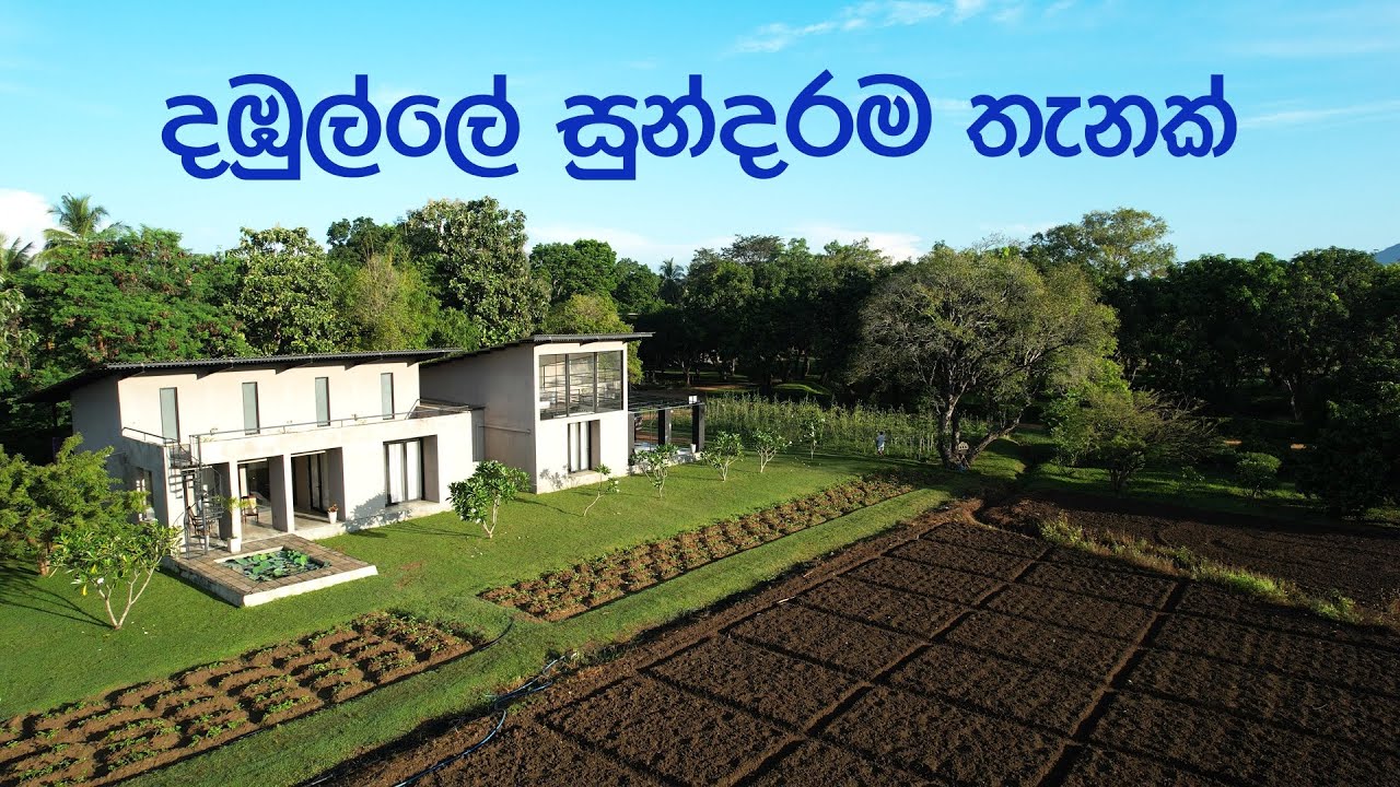 DIMO Agri Techno Park Vlog | Patali Champika Ranawaka