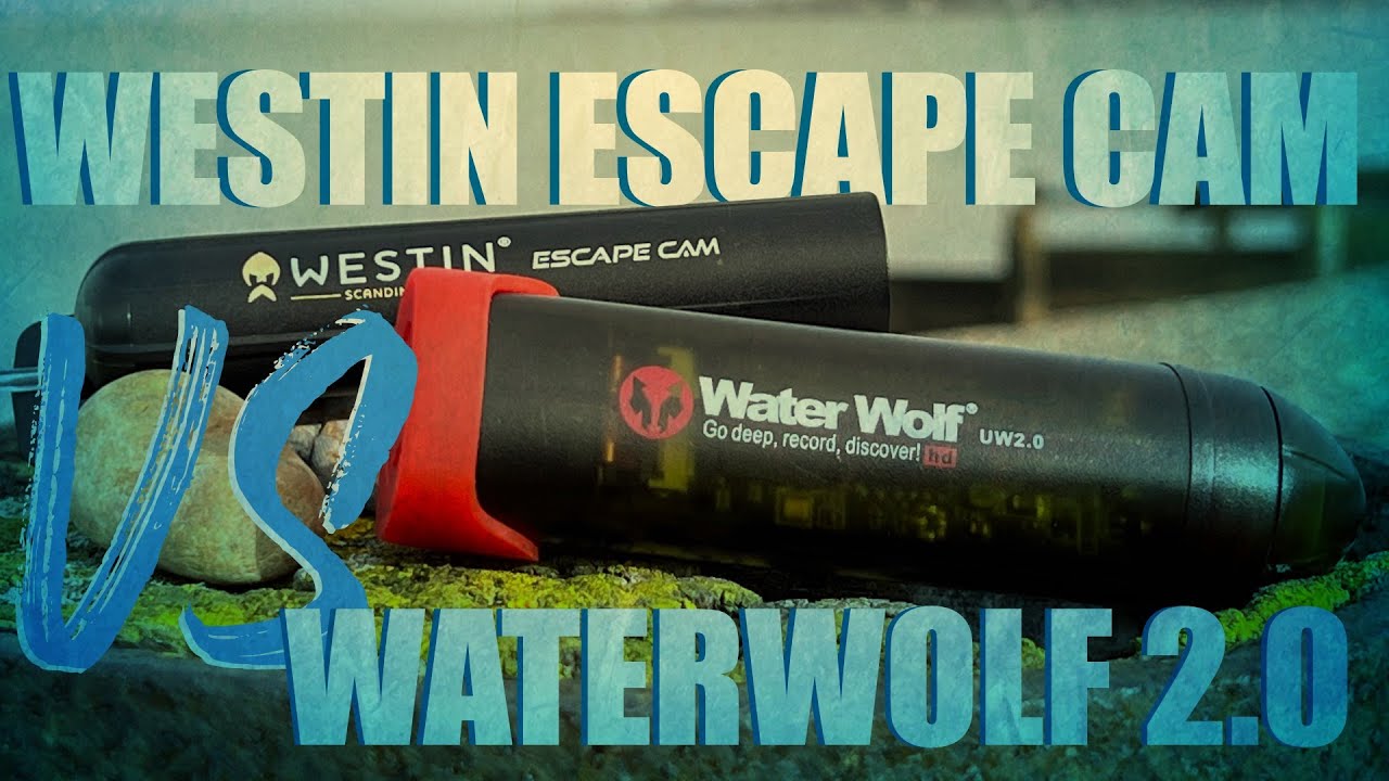 Westin ESCAPE CAM или WATERWOLF 2.0 — какая камера для приманивания лучшая?