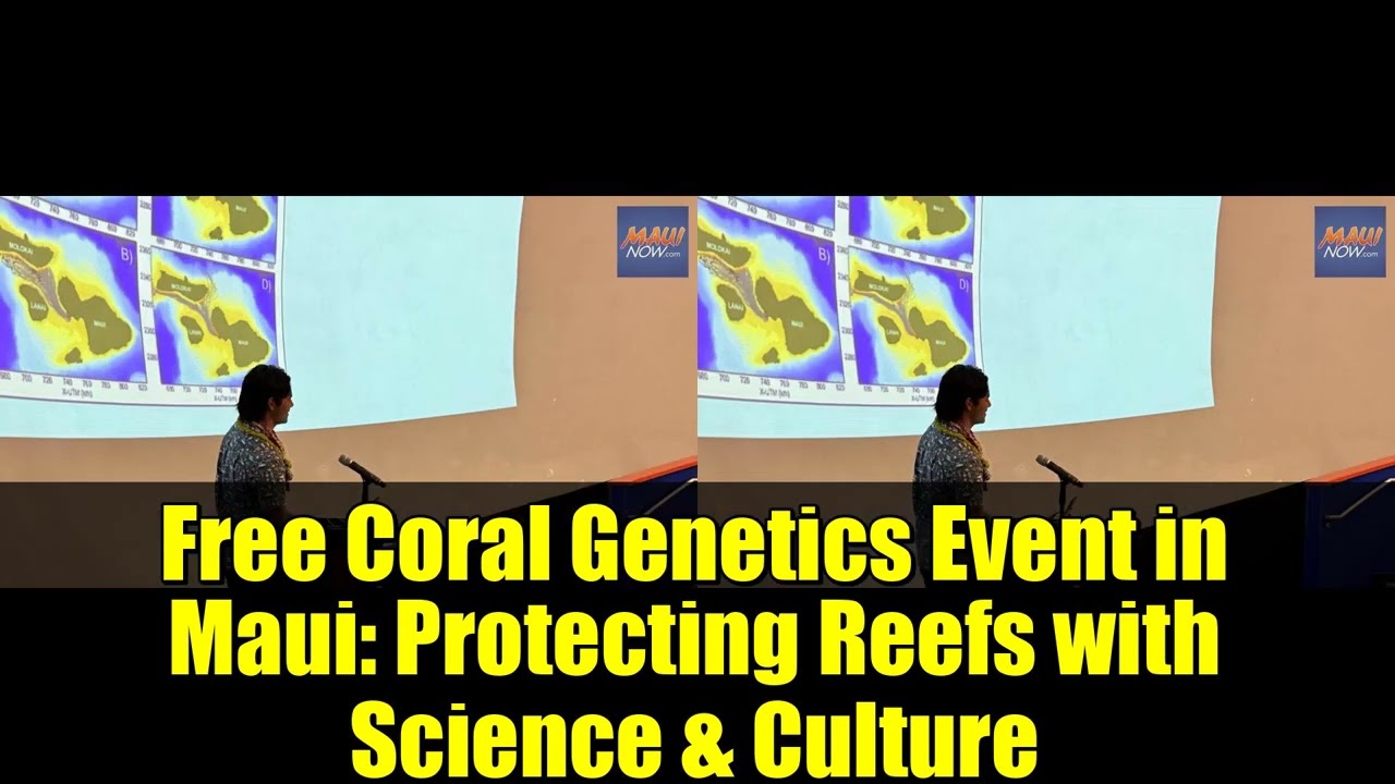 Free Coral Genetics Event in Maui   Protecting Reefs with Science & Culture   Maui Ocean Center