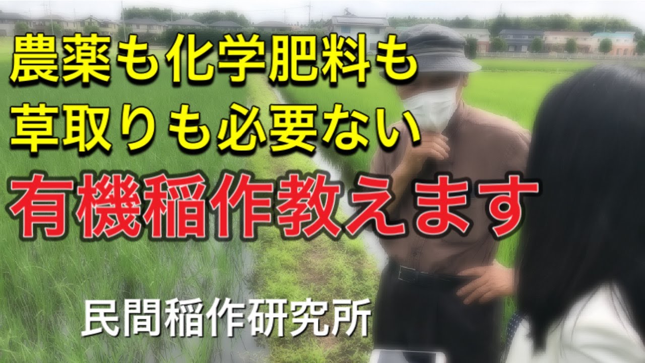 「本来の稲作 NPO法人民間稲作研究所の探索」浅野光彦氏演出・撮影　一柳義隆編集動画