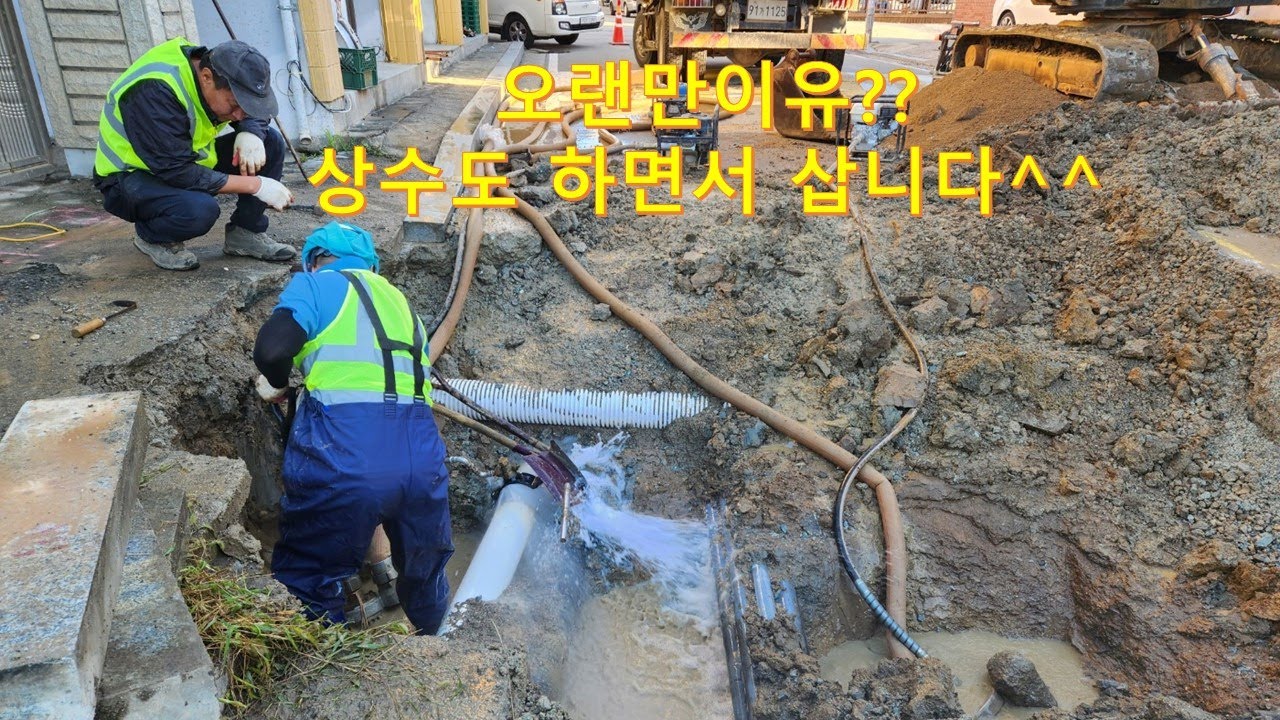 요즘 이런거 하면서 지냅니다