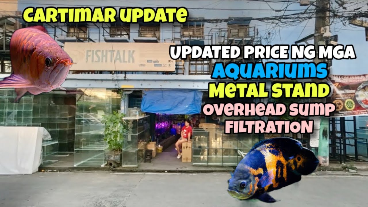 CARTIMAR UPDATE: LATEST PRICE NG MGA AQUARIUMS..METAL STAND..AND OVERHEAD SUMP NGAYONG BERMONTHS! 😱