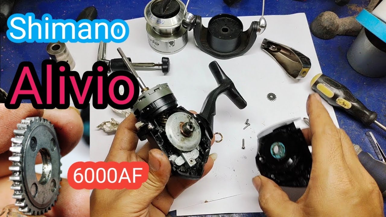 How to Fix Shimano Alivio 6000AF/ fix a fishing reel that won't crank