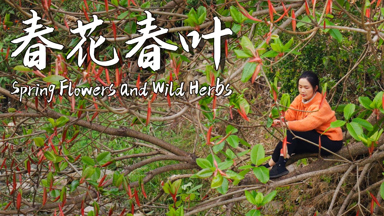 April in Yunnan is the season for savoring spring flowers and tender greens!【滇西小哥】