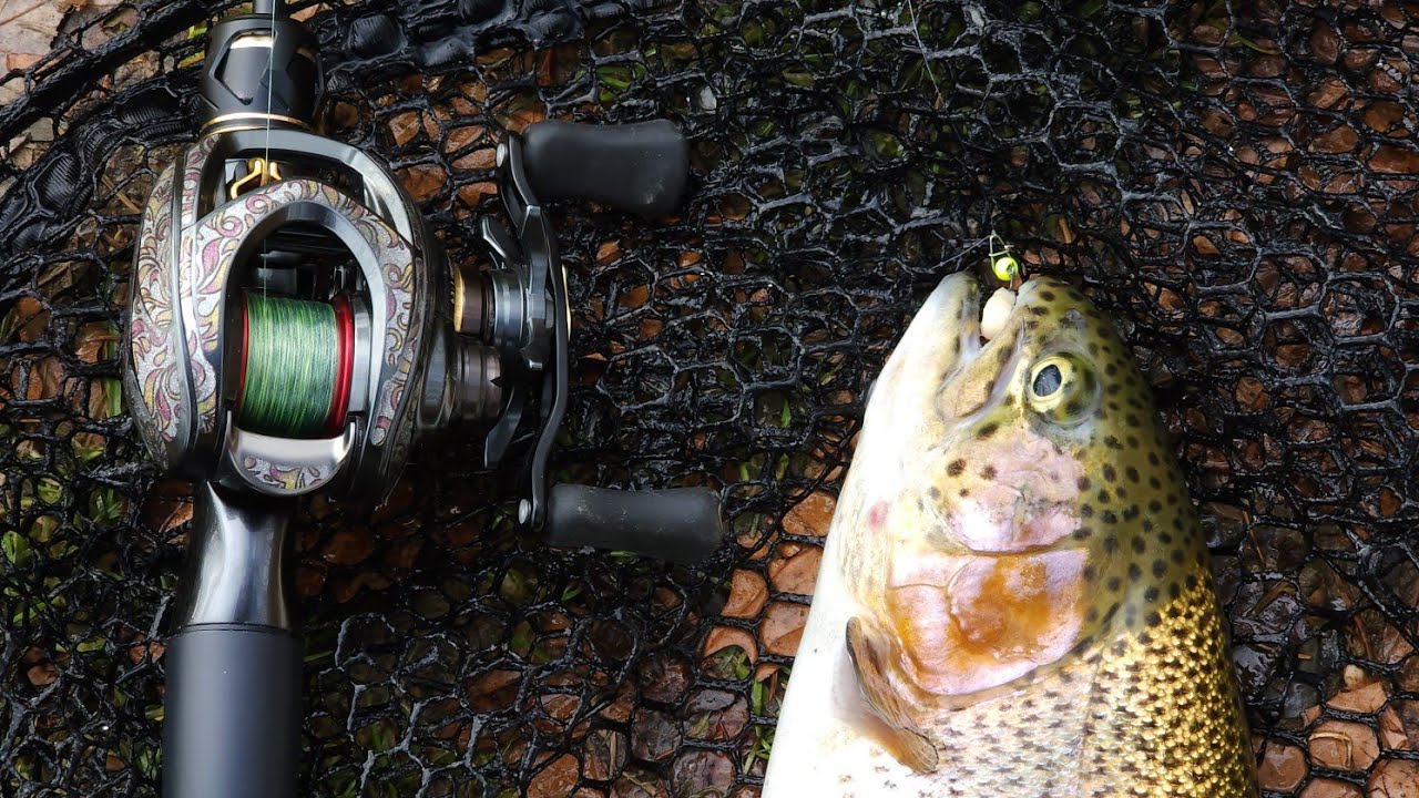 ловлю на маленькую приманку крупную форель, используя Daiwa Steez Ct Sv Tw на моем удилище Custom...
