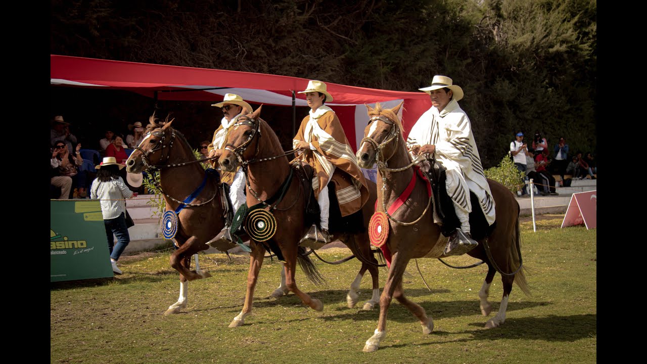 CONCURSO DE CABALLO DE PASO PERUANO
