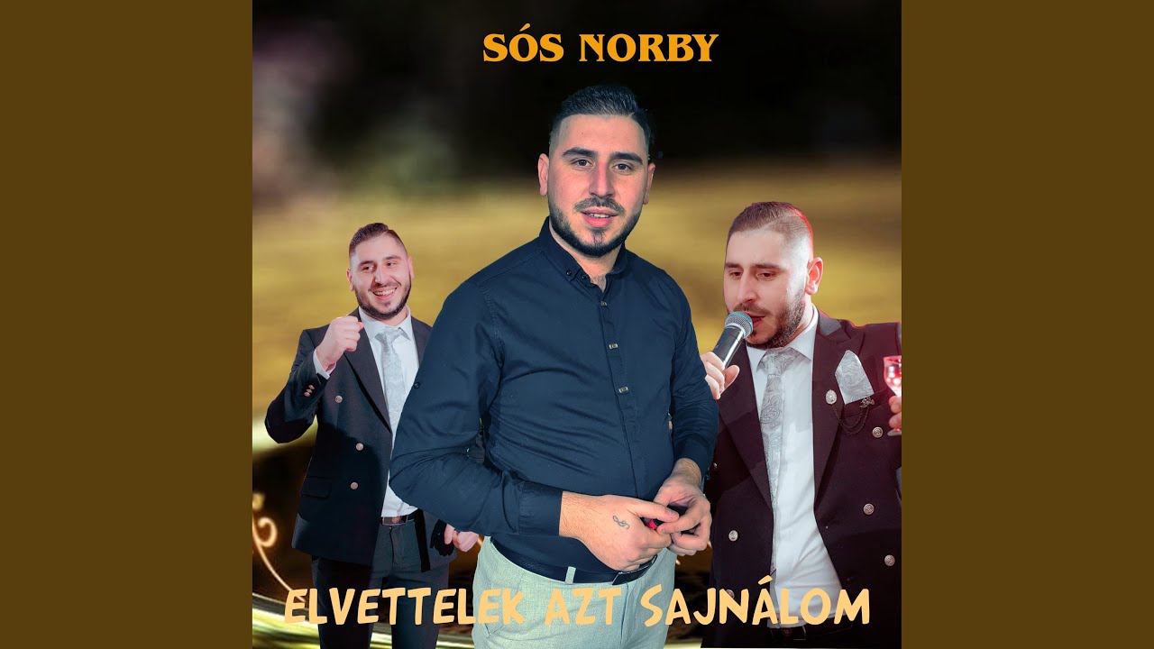 Elvettelek azt sajnálom