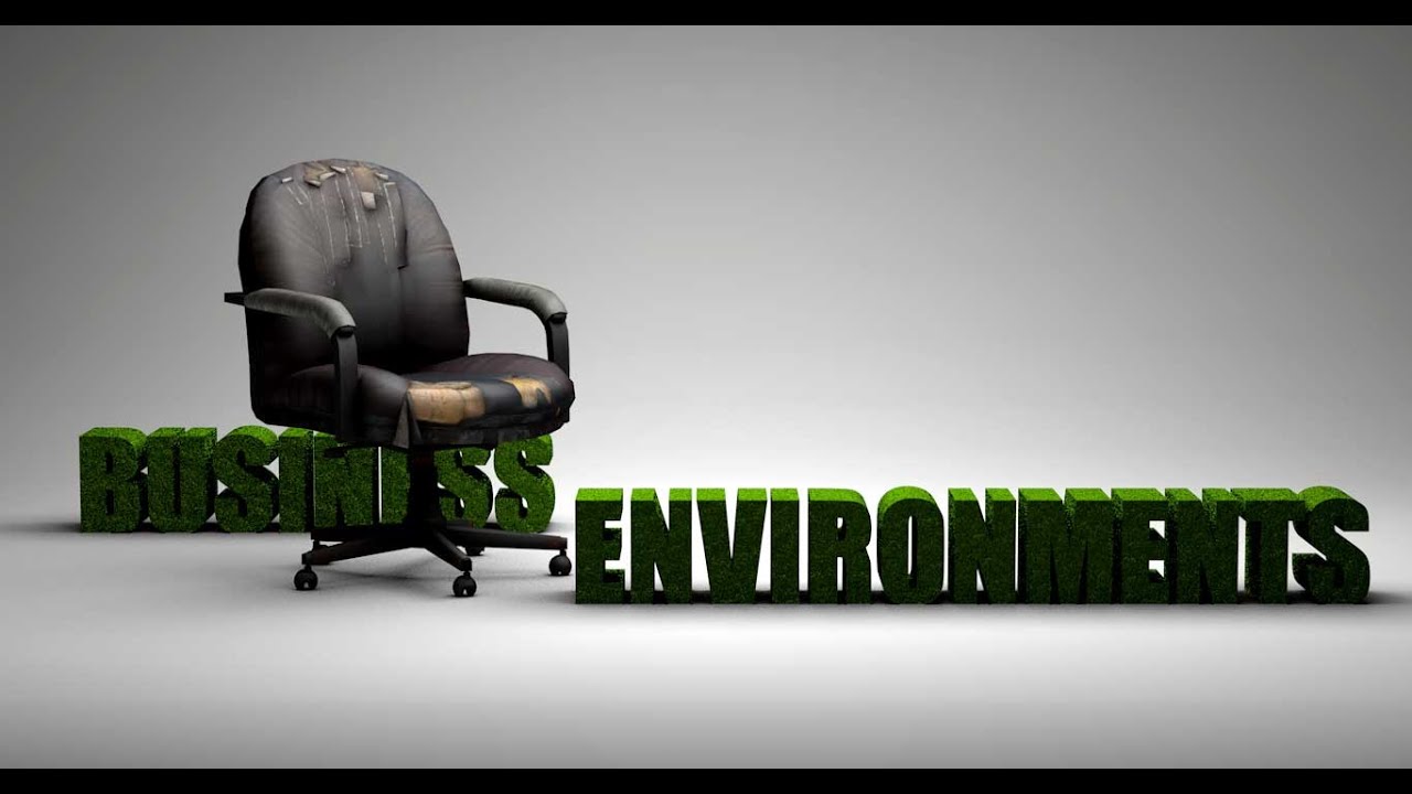 Business Environments Grade 10 and 11