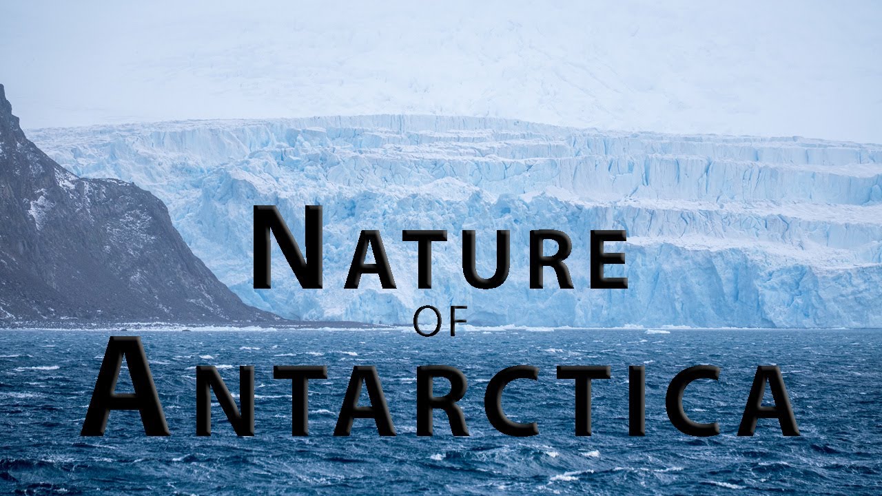 NATURE OF ANTARCTICA. 4K video