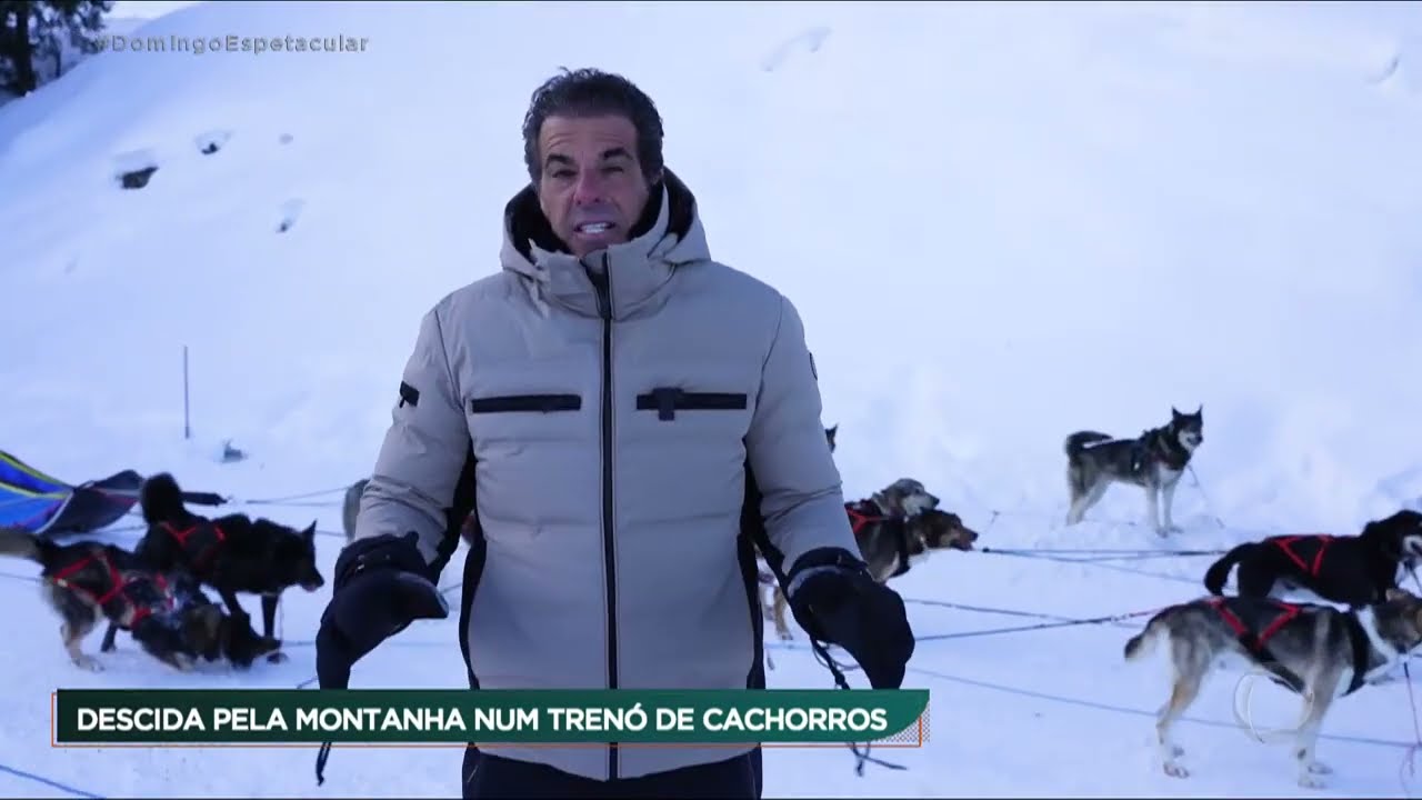 50 por 1 - Dogsled nos alpes franceses