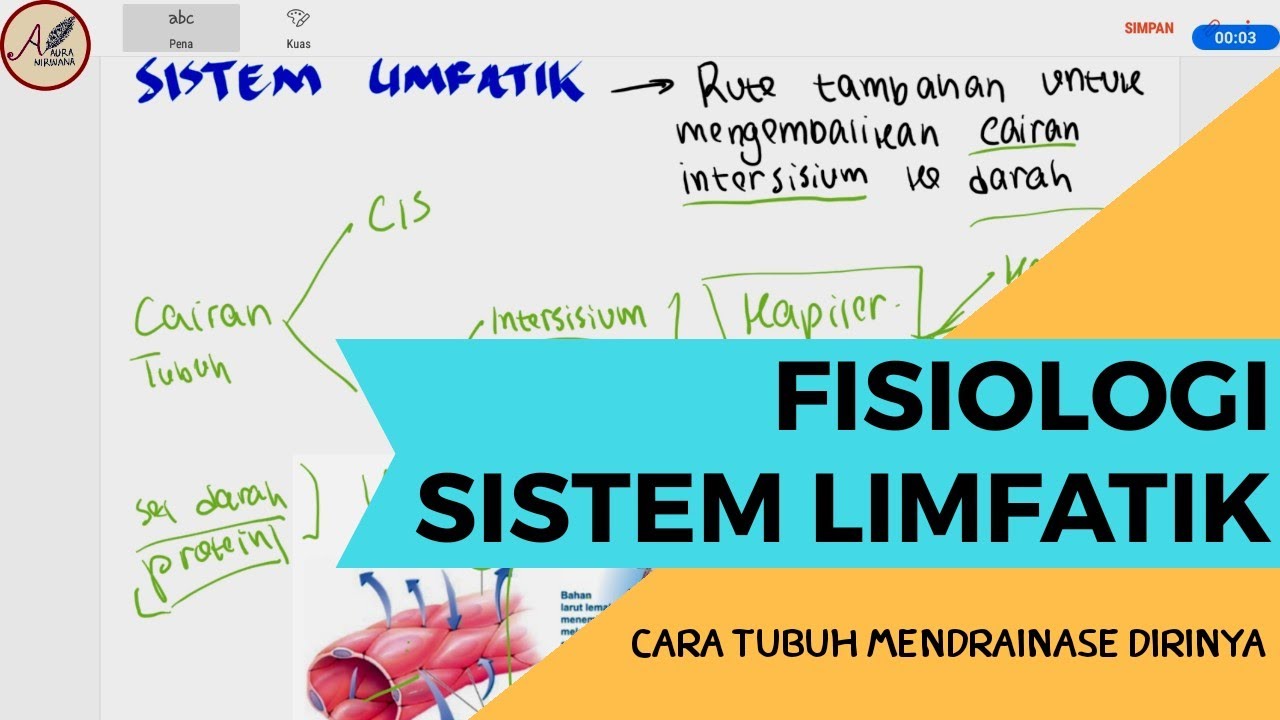 Fisiologi Sistem Limfatik : Cara tubuh mendrainase cairan