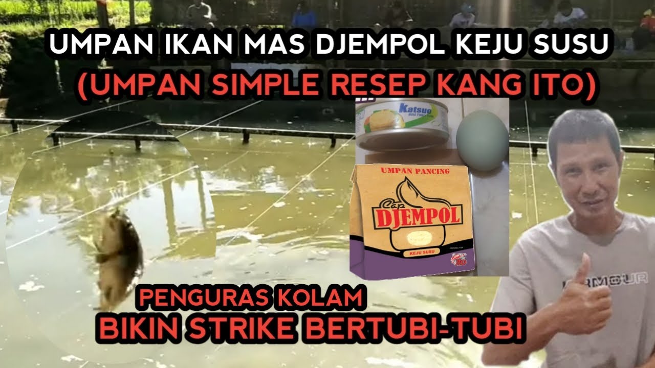 UMPAN IKAN MAS DJEMPOL KEJU SUSU | UMPAN SIMPLE KANG ITO