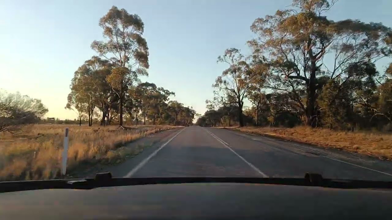 SATURDAY EVENING DRIVE IN THE RIVERINA NSW AUSTRALIA 🦘