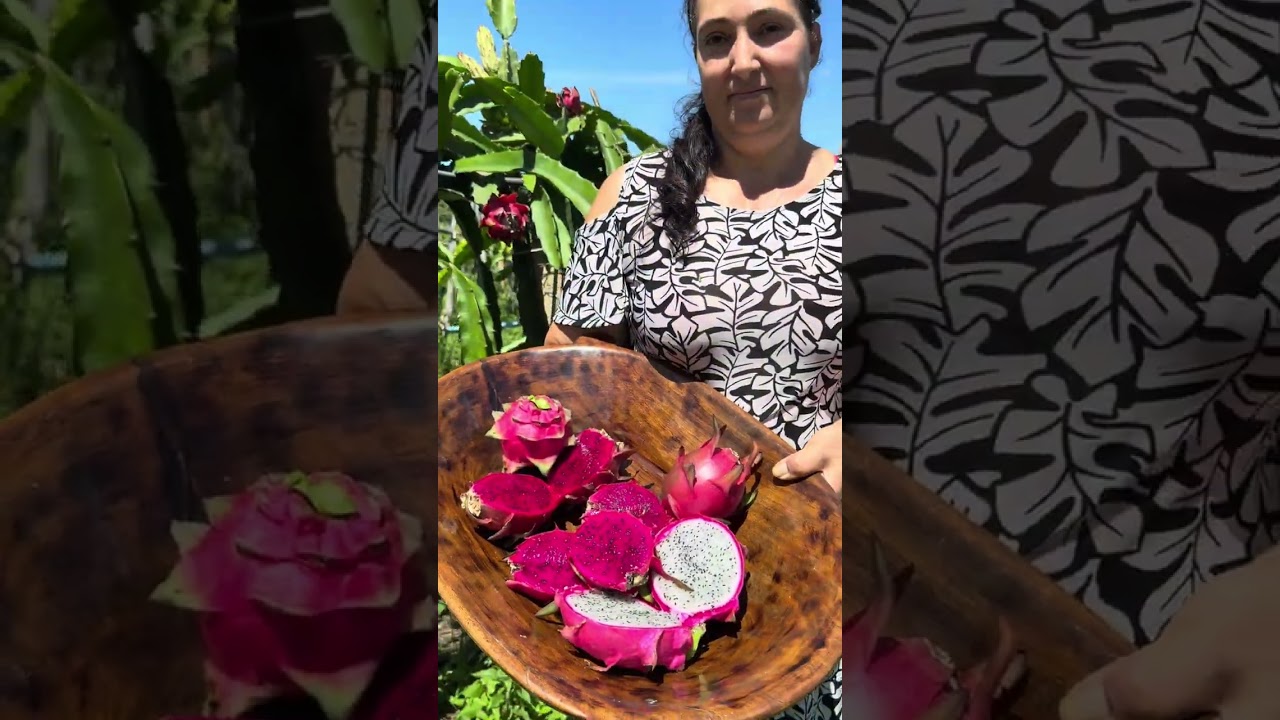 Visita ao Dorisnei, produtor de Pitaya em Aragoiânia 