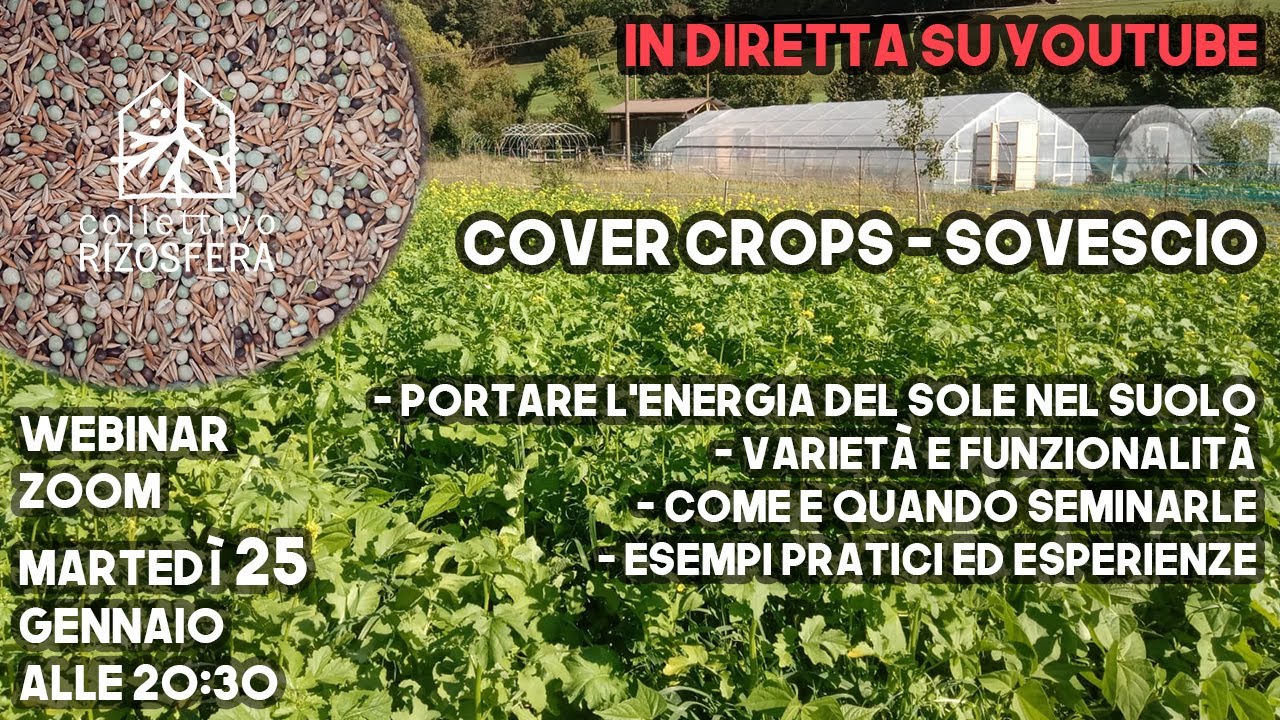 COVER CROPS: Portare l'ENERGIA del sole nel SUOLO con il SOVESCIO - Discussioni Simbiotiche