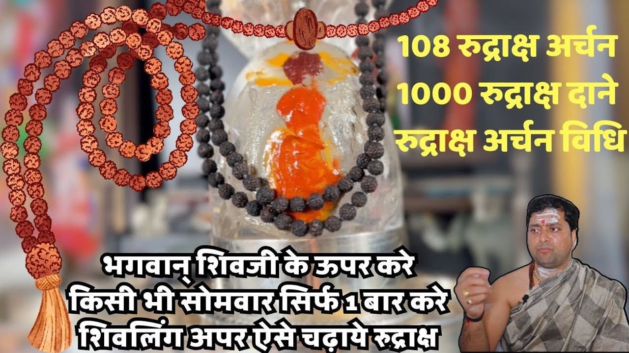 भगवान् शिवजी के ऊपर करे यह अर्चन । किसी भी सोमवार सिर्फ 1 बार करे | 1000 रुद्राक्ष दाने ।