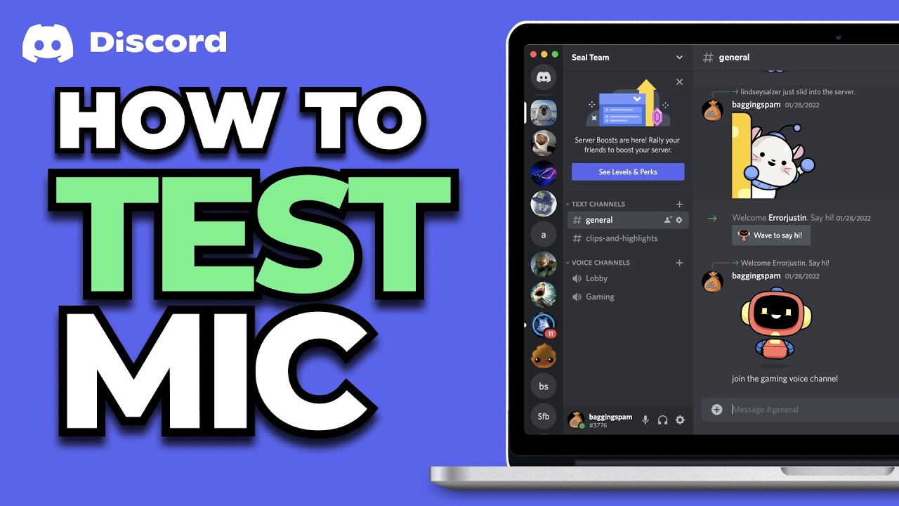 How To Test Mic on Discord