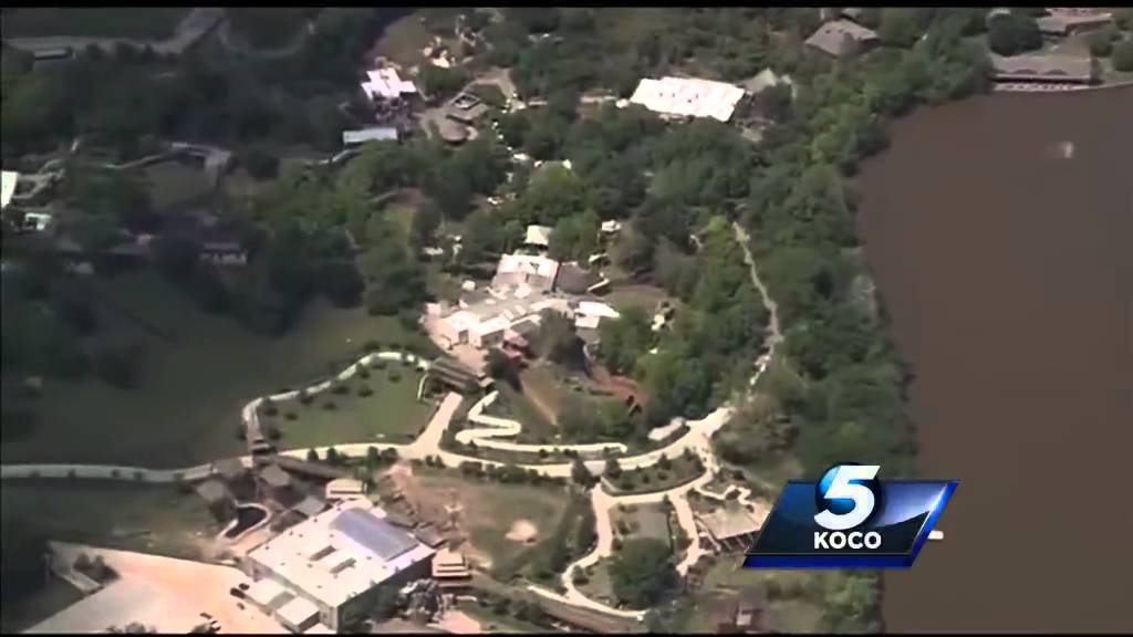 Family has front row seat to tiger escaping enclosure