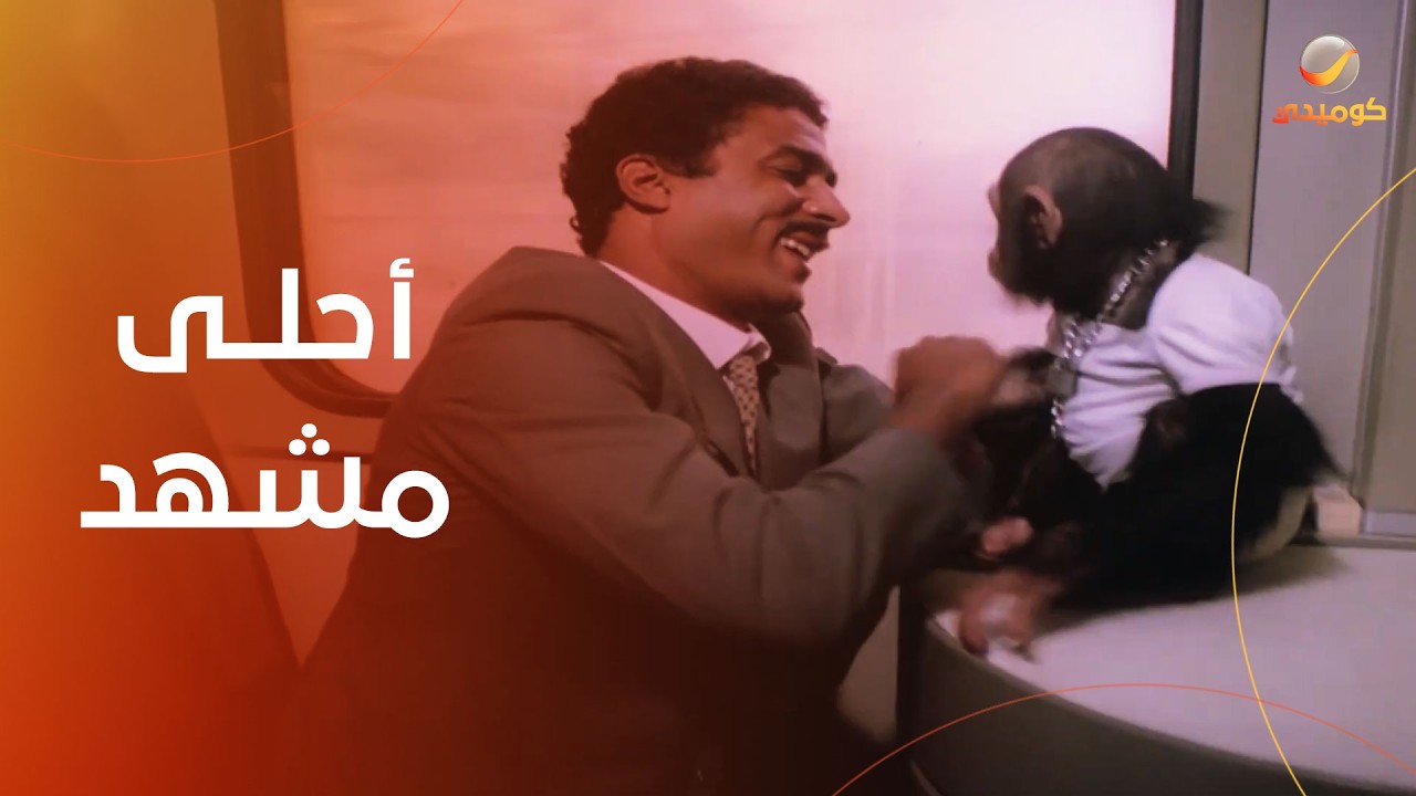 أحلى مشهد لأحمد ذكي والشمبانزي- فيلم وأربعة في مهمة رسمية
