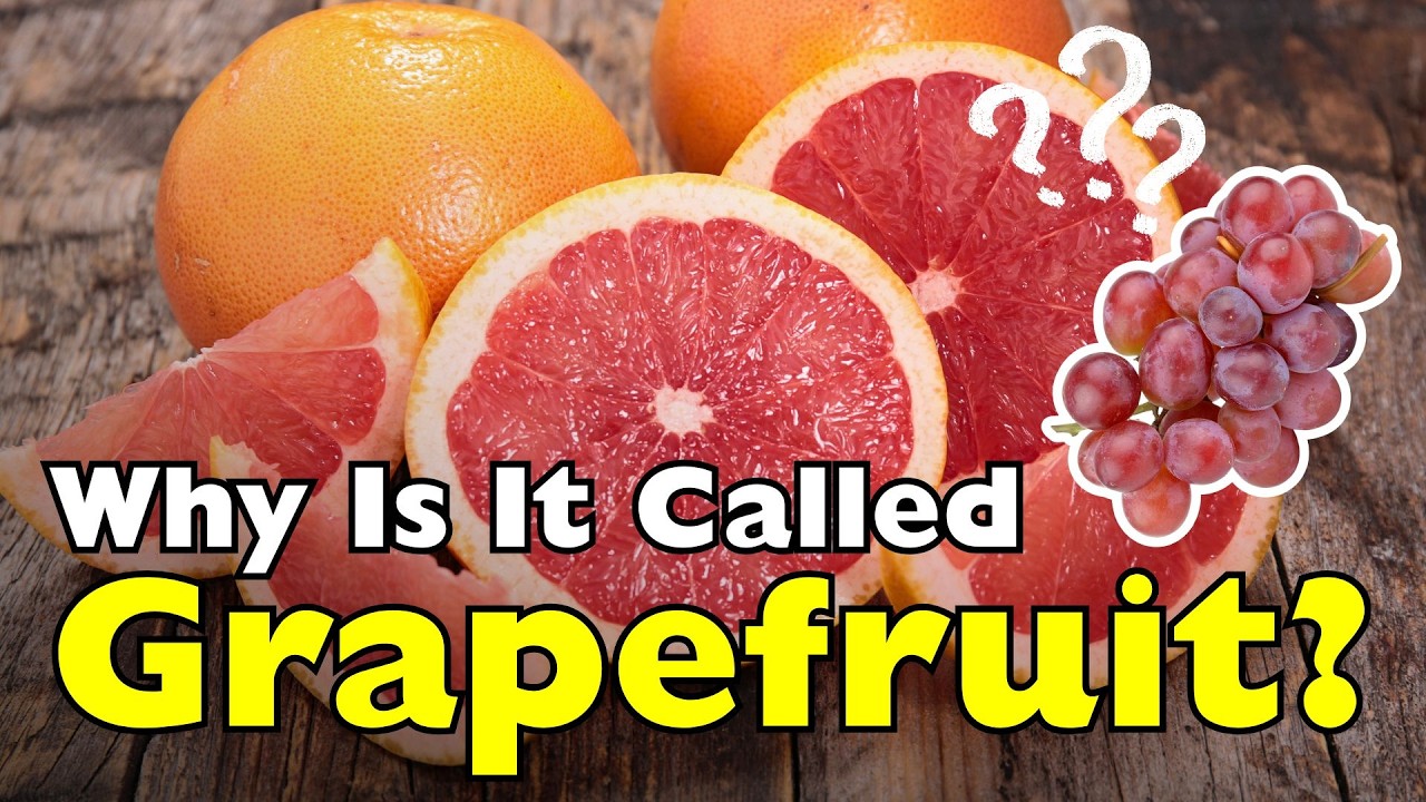 Why Do We Call It Grapefruit When It Isn’t a Grape? [ID0615]