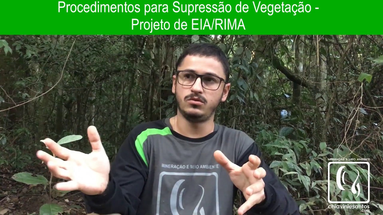 Procedimentos para Supressão de Vegetação - EIA/RIMA