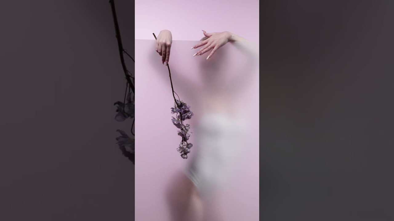 Ты моя мелодия 