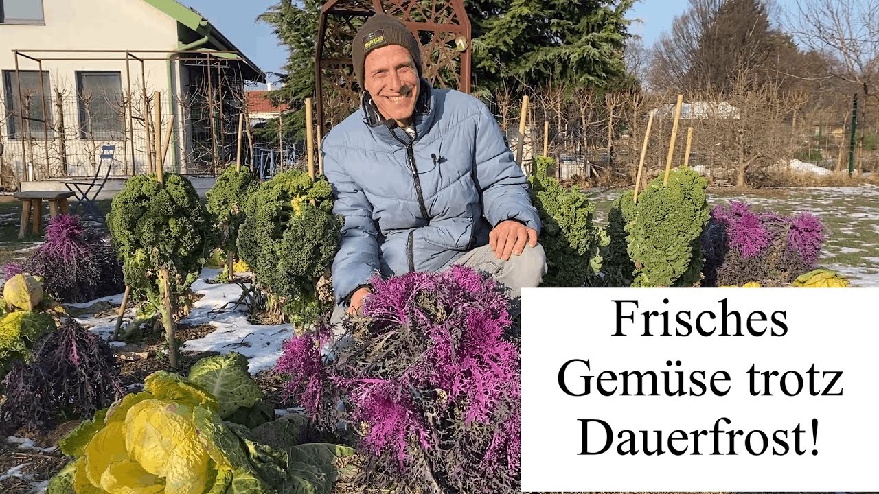 Frische ERNTE trotz Dauerfrost 🥬 Pflege und Anbautipps für die kalte Jahreszeit!